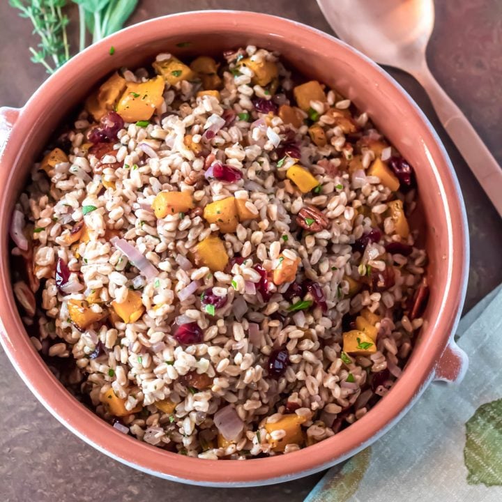 A clay bowl of herbed farro dressing with butternuts squash and dried cranberries.