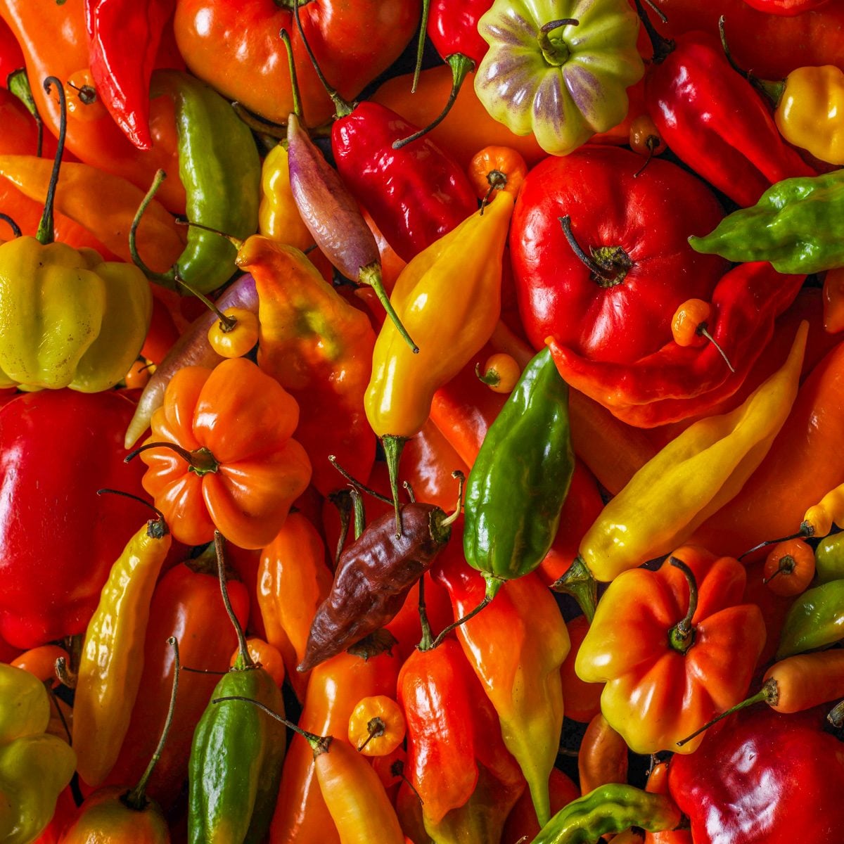 An array of colorful Peruvian Ají Peppers.