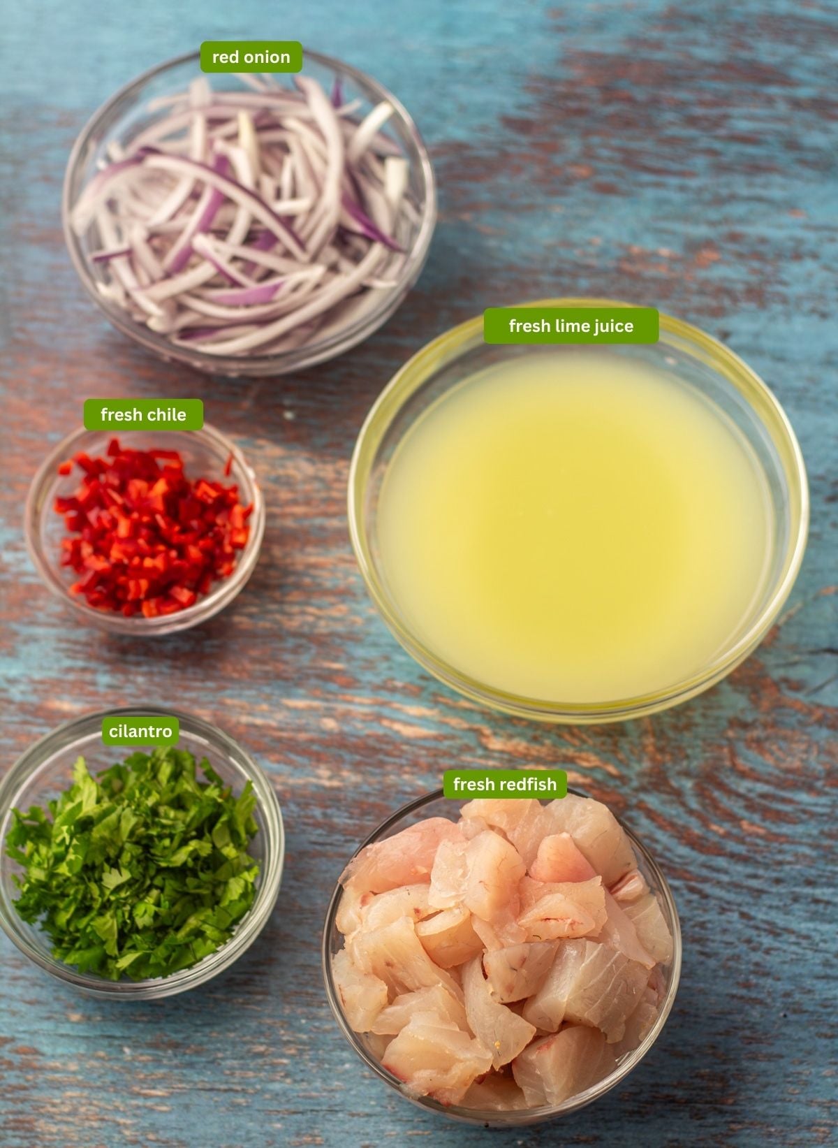 Ingredients for redfish ceviche: Fresh fish, cilantro, fresh chile and lime juice, thin-sliced red onion.