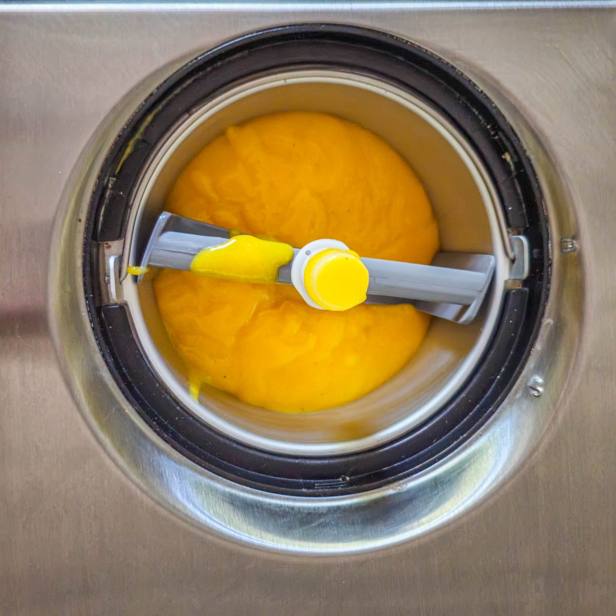 All sorbet ingredients are in my compressor ice cream maker. The intense yellow is amazing!